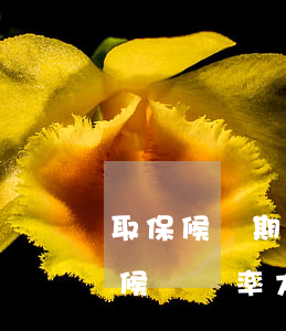 取保候審期間律師可以介入嗎(律師介入取保候審幾率大嗎)