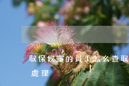 取保候審的員工怎么查(取保候審的員工如何處理)