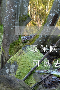 取保候審的時候可以去外面嗎(取保候審出來可以去外地嗎)