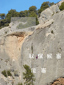 取保候審能保而不審(為什么要取保候審不直接審吶)