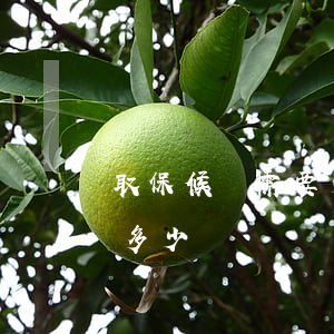 取保候審需要多少錢(行政拘留取保候審需要多少錢)