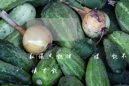 取保只能律師辦理嗎(能不能取保律師什么時候才能問)