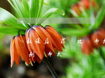 取保后無罪釋放幾率大嗎(取保不了還能判緩刑幾率大嗎)