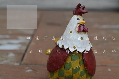 取保开庭前不收监缓刑几率大不(取保候审以后判缓刑的可能性大吗)