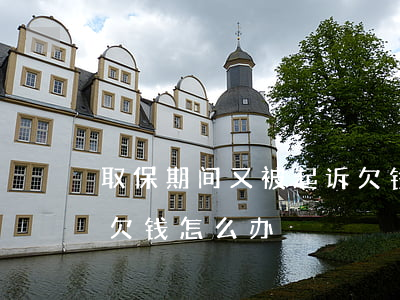 取保期间又被起诉欠钱-取保期间又被起诉欠钱怎么办