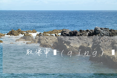 取保申請(qǐng)書怎寫