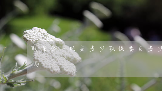 取保金一般交多少(取保要交多少押金給公安局)