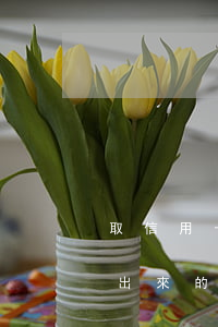 取信用卡利息怎么算出 取信用卡利息怎么算出來的