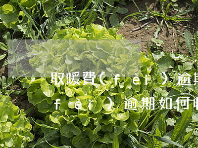 取暖費(fèi)逾期怎么起訴他(取暖費(fèi)逾期如何收費(fèi))