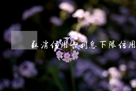 取消信用卡利息下限(信用卡 利息 減免)