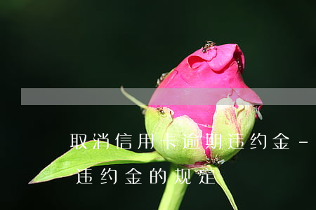 取消信用卡逾期违约金-法律对信用卡逾期违约金的规定