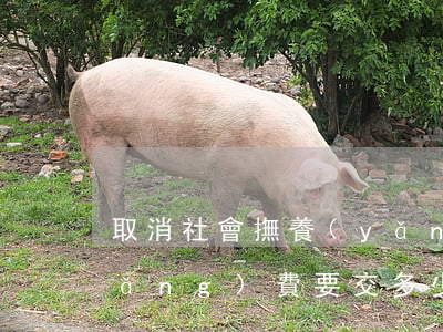 取消社會撫養(yǎng)費 社會撫養(yǎng)費要交多少錢？