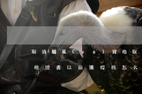 取消職業(yè)資格(取消職業(yè)資格證書以前獲得的怎么辦)