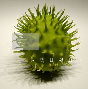 取消農村戶口