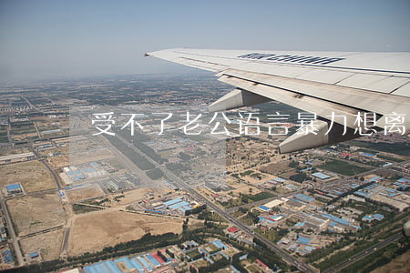 受不了老公语言暴力想离婚怎么办