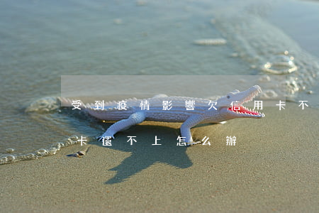 受到疫情影響欠信用卡不還(受疫情影響信用卡還不上怎么辦)
