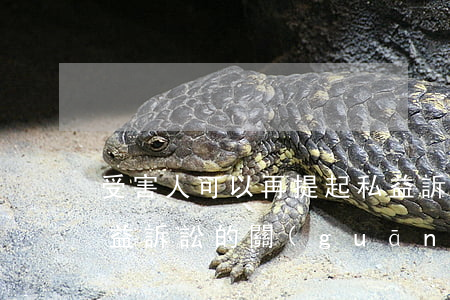 受害人可以再提起私益訴訟嗎(私益訴訟和公益訴訟的關(guān)系)