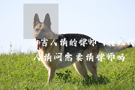 受害人请的律师叫什么(我是刑事案件的受害人,请问需要请律师吗?)