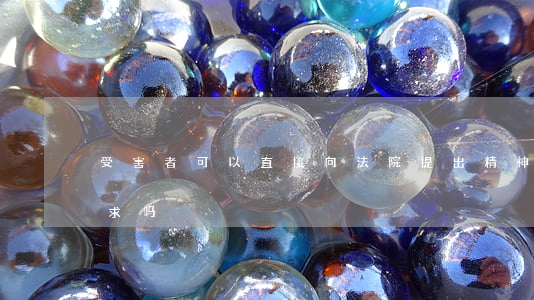 受害者可以直接向法院提出精神损害赔偿诉求吗