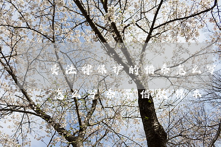 受法律保护的借条怎么写(受法律保护的借条怎么写条子借款样本)
