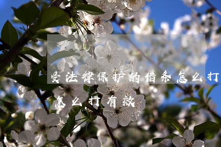 受法律保护的借条怎么打(受法律保护的借条怎么打有效)