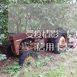 受疫情影響信用卡怎么延期還款-受疫情影響信用卡怎么延期還款材料怎么弄