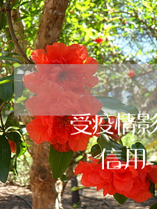 受疫情影響信用卡逾期政策有哪些(因疫情影響信用卡逾期會被起訴嗎)