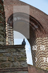 受疫情影響信用卡還不上怎么辦，應(yīng)對(duì)疫情：信用卡還款困難？這里有解決方案！