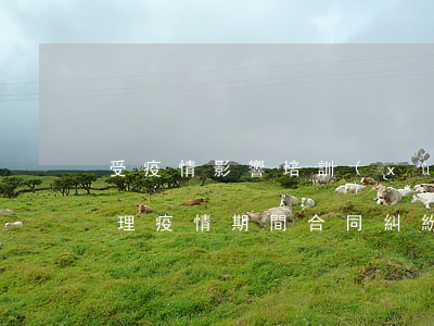 受疫情影響培訓(xùn)合同糾紛如何處理(疫情期間合同糾紛)