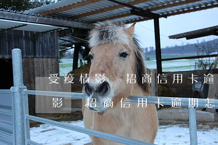 受疫情影響招商信用卡逾期怎么辦-受疫情影響招商信用卡逾期怎么辦呢