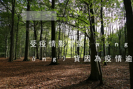 受疫情影響網(wǎng)貸都逾期(網(wǎng)貸因為疫情逾期了暫時還不上怎么辦)
