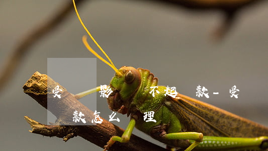 受經濟影響還不起貸款-受經濟影響還不起貸款怎么處理