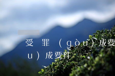 受賄罪構(gòu)成要件(賄賂罪構(gòu)成要件)
