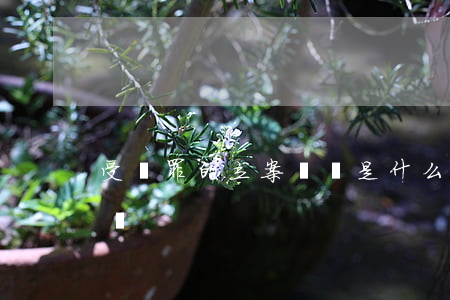 受賄罪的立案標準是什么（單位受賄罪立案標準）