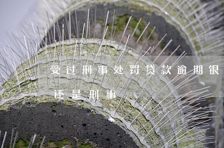 受过刑事处罚贷款逾期(银行贷款逾期是民事还是刑事)
