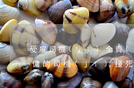 受雇司機(jī)全責(zé)死亡工傷(雇傭的司機(jī)撞死人主責(zé)誰賠)