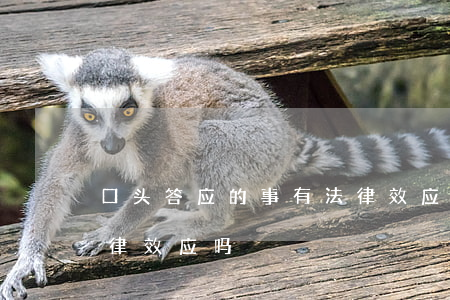 口头答应的事有法律效应吗(口头承诺具有法律效应吗)