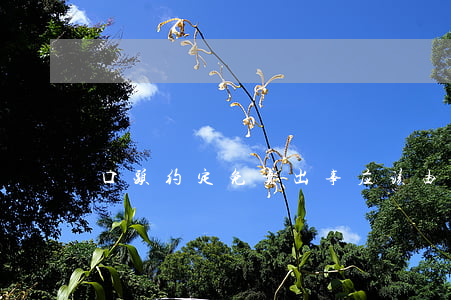 口头约定免责出事应该由谁来承担责任