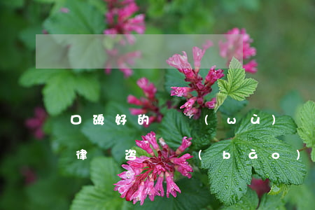 口碑好的債務(wù)債權(quán)案律師咨詢報(bào)價(jià)-債權(quán)債務(wù)律師咨詢,專業(yè)經(jīng)驗(yàn)豐富