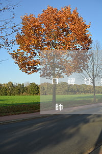 口碑好的債務拖欠律師(口碑好的債務拖欠律師)