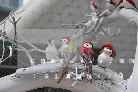 口貸網(wǎng)逾期，口貸網(wǎng)最新消息進(jìn)展