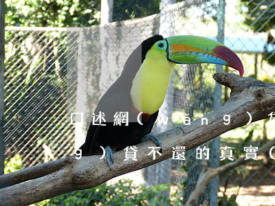 口述網(wǎng)貸還不起(欠網(wǎng)貸不還的真實(shí)案例)