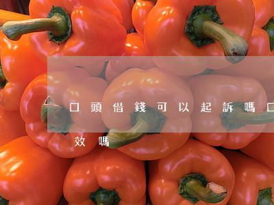 口頭借錢可以起訴嗎(口頭借錢可以起訴嗎有效嗎)