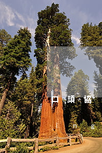 口頭協(xié)議的合同糾紛如何應(yīng)訴(口頭協(xié)議沒簽合同)