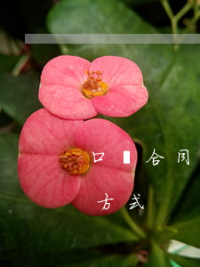 口頭合同糾紛如何立案(口頭合同糾紛的處理方式)