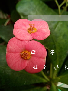 口頭答應(yīng)賣房，房子漲價后卻反悔？法院判了！
