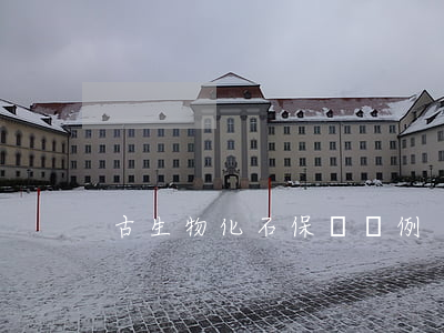 古生物化石保護條例