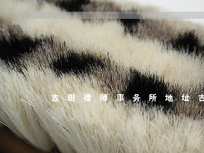 古田律师事务所地址(古田律师咨询电话)