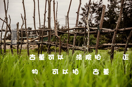 古董可以給法院拍賣嗎(正規(guī)的博物館可以拍賣古董嗎?)