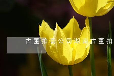 古董拍賣公司(湖南古董拍賣公司)